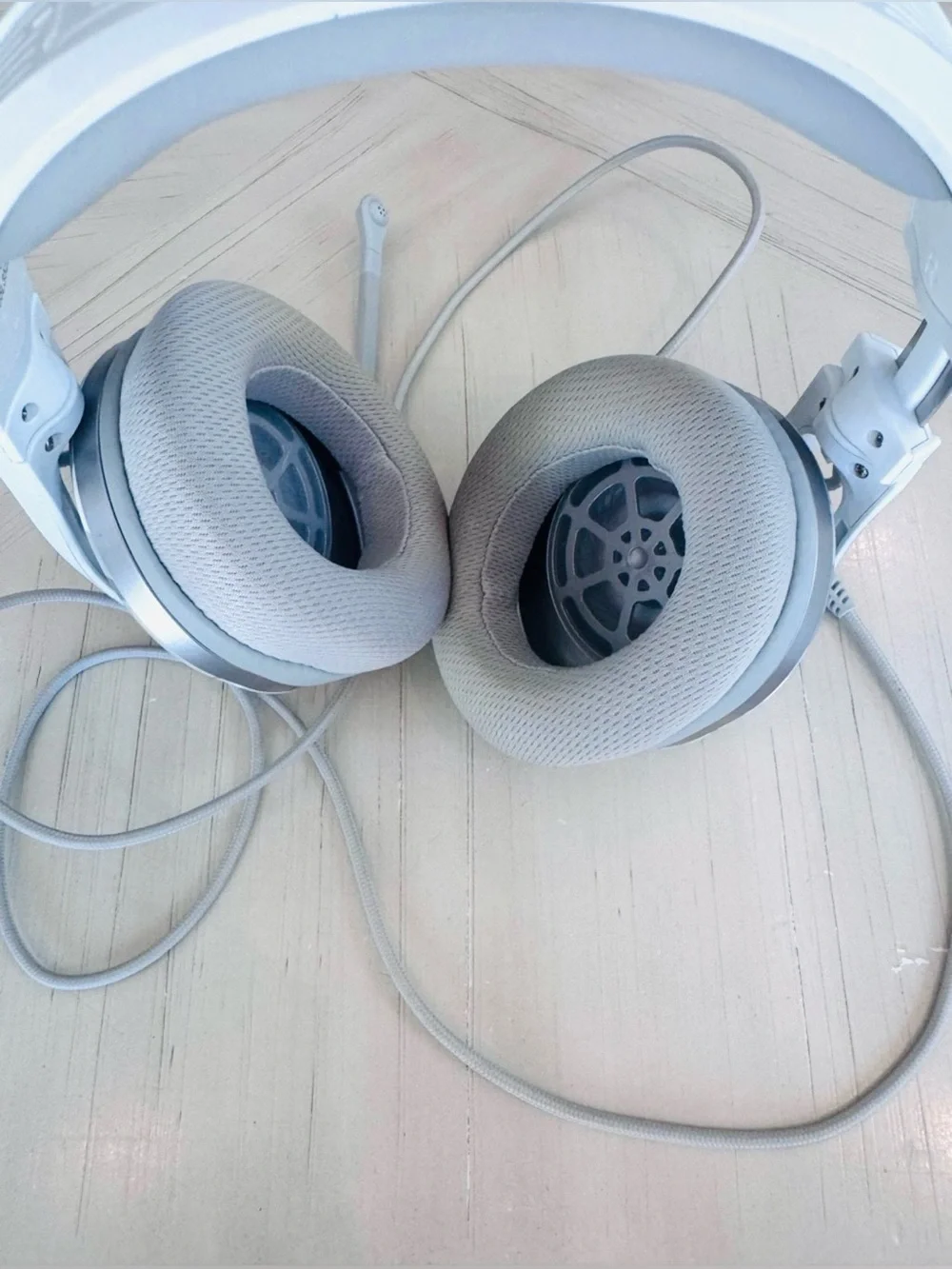 Turtle Beach turtle beach